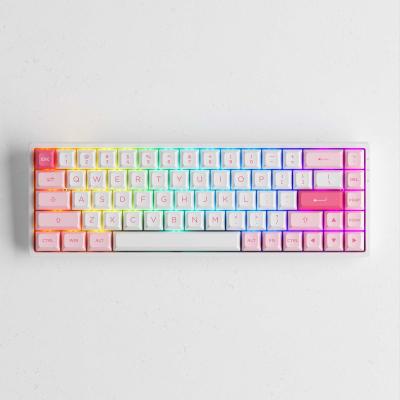 China ABS Akko 3068B Plus Keyboards PBT Doubleshot Keycaps CS Jelly Switches PC Keyboard for sale