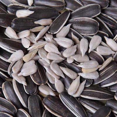 China New cultivation dry high quality sunflower seeds from Xinjiang Inner Mongolia for sale