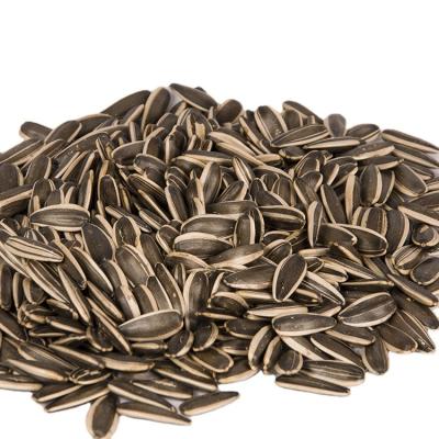 China Chinese Dakota Inner Mongolia Plant Dried Sunflower Seed 361 363 601 5009 for sale