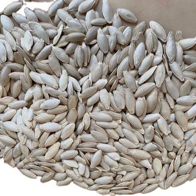 China 2020 New Season Fresh Bulk Organic Chinese Lady Nail White Pumpkin Seeds for sale