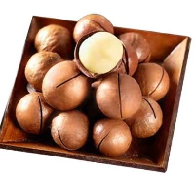 China Wholesale Dried Australian Hazelnuts For Low Price for sale