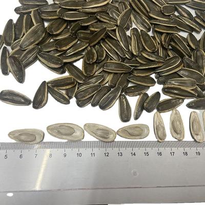 China New Crop Dry Raw Sunflower 361 for sale