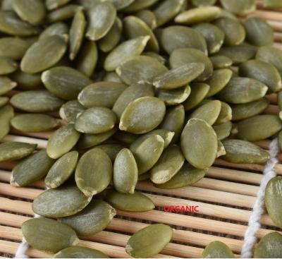 China Wholesale Pumpkin Seed Dry Pumpkin Seed Shelling Machine Pumpkin Seed Price for sale