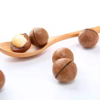 China Dried Hot Selling Delicious Hand-peeled Australian Hazelnuts Great Daily Nuts In 2021 for sale