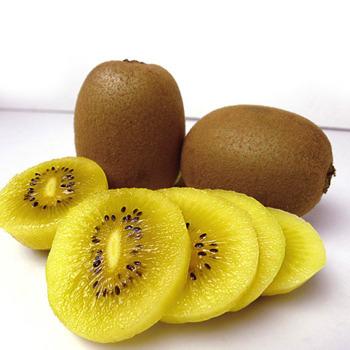 China Factory Price Best Quality Chinese Shaanxi Dried Sweet Dried Kiwifruit Sliced for sale