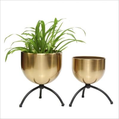 China Stainless Steel Modern Flower Pot Painting Flower Pot Round Round Gold Square Box for sale