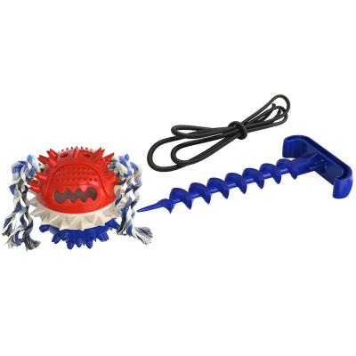 China New Style Dog Toy Grinding Toothbrush Outdoor Conflict Suction Rope Viable Interactive Ball Noise Leaking Dog Chew Toy for sale