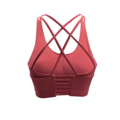 China Breathable Hot Sexy Fitness Sports Bra Overalls Seamless Sportswear for sale