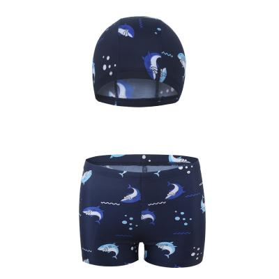 China Cute Pattern Breathable High Elasticity QUICK DRY Custom Two-Piece Children Swim Trunks And Comfortable For Boys for sale