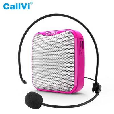 China Sales Promotion Teaching Outdoor Entertainment Good Sound Quality Portable Mini Audio Amplifier and Microphone with Teachers Sales Fitness Trainers for sale