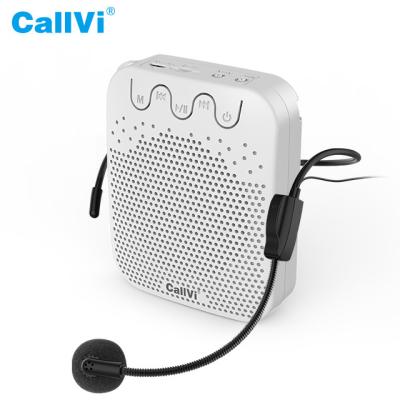 China ABS Plastic Material Callvi V-307 Mini Portable Voice Recorder Audio Sound Amplifier for sale