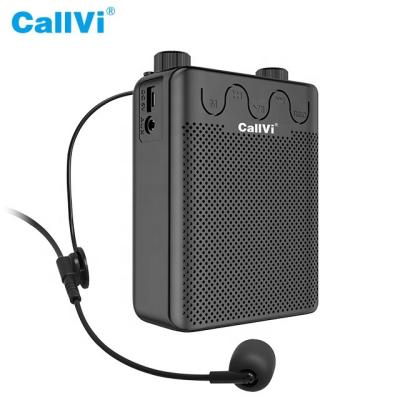 China ABS Plastic Callvi V-520 TF USB FM Recorder Function Voice Amplifier Teacher Megaphone Speaker for sale