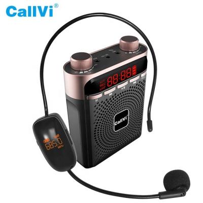 China 40-50m Callvi V919 portable speaker fm radio wireless voice amplifier with echo function for sale