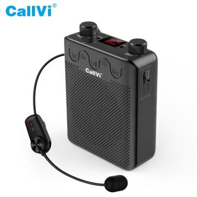 China ABS Plastic Material CallVi V-807 Portable Mini Audio Speaker Wireless Microphone Amplifier for sale