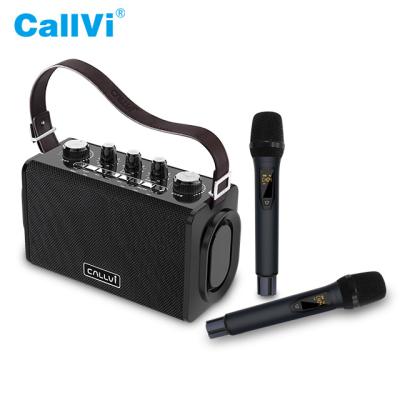 China Classroom Callvi V-832 Portable PA Speaker Karaoke Wireless Amplifier with UHF Microphones for sale