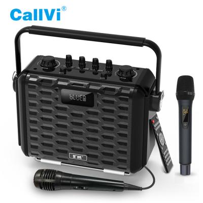 China Classroom Callvi V-1616 Party Music Player Portable Karaoke Speaker Audio Amplifier with Wireless Microphone for sale