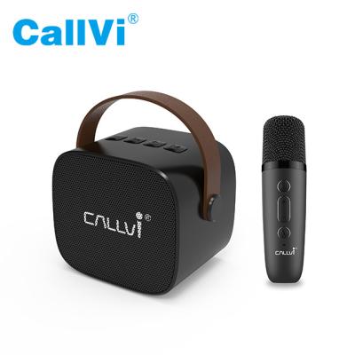 China Callvi W2 Mini Portable Karaoke Amplifier Classroom Music Player Speaker with Wireless Microphone for sale