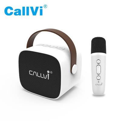 China Callvi W2 Mini Music Player Portable Classroom Karaoke Wireless Speaker Microphone Amplifier for sale