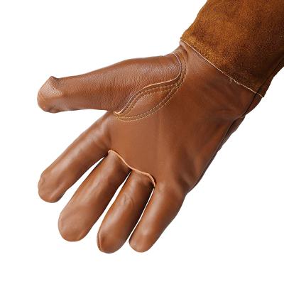 China Palm Durability Highs Womens Long Shatterproof Garden Gloves Cultivating Gloves Garden Gloves Scare Leather for sale