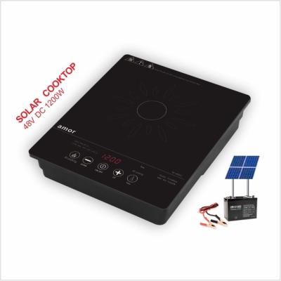 China Hot Selling Outdoor Induction Cooker Energy Efficient Solar Induction Cooker For Home Kitchen Or Outdoor Cooking for sale