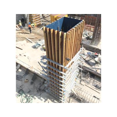 China Professional Manufacturer Easily Gathered Peri Formwork Plywood Building Construction from China for sale