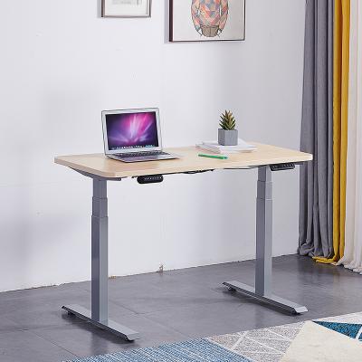 China (Size) Latest Adjustable Computer Sit and Stand Study Luxury Office Desk Leg Table Electric Adjustable Desk for sale