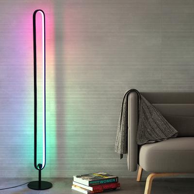 China Dimmer Rotation Modern Romantic Piece Floor Lamps Floor Lamps Smart Interior RGB Corner Floor Light for sale