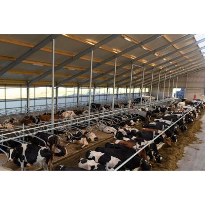 China Steel Structure Chicken House Broiler House Farm Shed Poultry Building for Hotel and Farm for sale