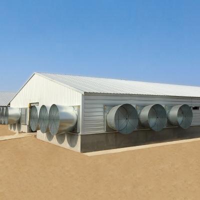 China Hotel Warehouse Design Steel Industrial-Style Poultry Farm House for Layers Warehouse for sale