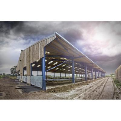 China Affordable Industrial Design Style Chicken Farm Poultry House Steel Structure Warehouse for sale