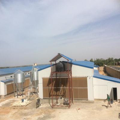 China Hotel-Ready Steel Construction for Professional Commercial Chicken Poultry House for sale