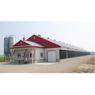 China Chicken Farm House Steel Chicken Coop Design for Poultry Farm Shed in Warehouse for sale