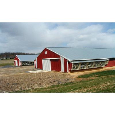 China Large Walk-In Chicken Coop Houses in Industrial Steel Warehouse for Gymnasium for sale