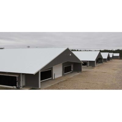 China Urban and Rural Farming Modern Industrial Design Steel Structure Prefab Poultry House for sale