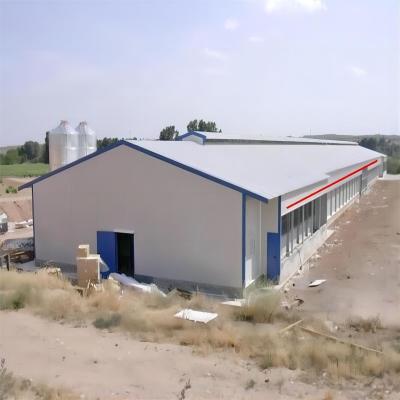 China Industrial Design Steel Structure Warehouse for Poultry Chicken Farming and Gymnasium for sale