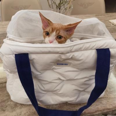 China China Portable Breathable Messenger Pet Carrier Bag Sleeping Dog Bag Plush Boat Dog Viable Travel Bed Bag for sale