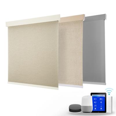 China Light Adjustment White Remote Control Electric Window Shades Automatic Indoor Blackout Motorized Roller Blinds For Home for sale