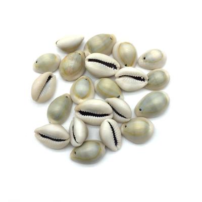 China Diy Jewelry Accessories Wholesale Natural Sea Cowrie Shell Beads With Hole Loose In Package For DIY Making Jewelry Accessory for sale