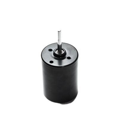 China Micro DC 24V Brushless Motor Dynamo BLDC Micro Continuous Current Motor Totally Enclosed for sale