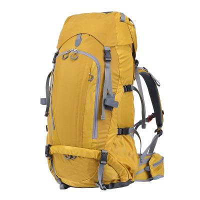 China New Design Fashion Waterproof Camp Hiking Backpack For Outdoor Hike Camping Backpacking 2019 for sale