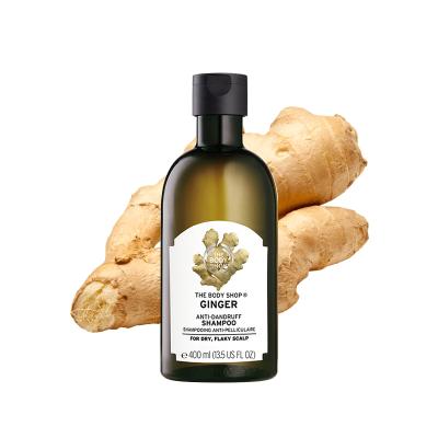 China 2012 Latest Natural Organic Color-Protection Anti Hair Loss Ginger Shampoo for sale