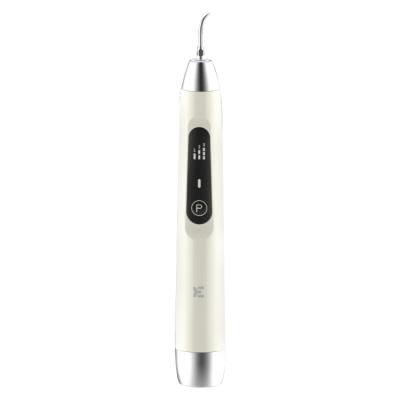 China (Built-in Battery) Sonic Electric Dental Scaler Oral Tooth Filling Ultrasonic Teeth Calculus Home Use Cleaner for sale