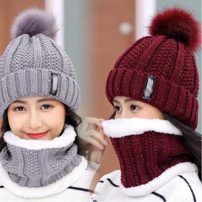 China COMMON Outdoor Women's Winter Hat Covers Knitted Warm Wool Pom Pom Hat Scarf Set Thick Windproof For Women for sale