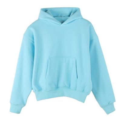 China Anti-Wrinkle French Terry Fleece Thick 450 GSM 500GSM 3D Embossed Heavyweight Fitted 100% Cotton No String Double Layer Hoodie for sale