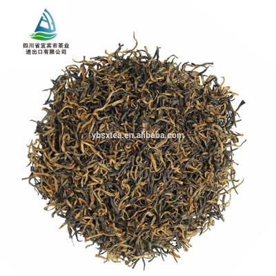 China Loose Yibin Tea Earlist Tea Single Bud Black Tea For Japan, Iraq, UAE for sale