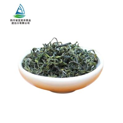 China Maofeng tea Yibin loose tea earlist green tea for Mali, Senegal, Morocco, Mauritalia wholesale tea for sale