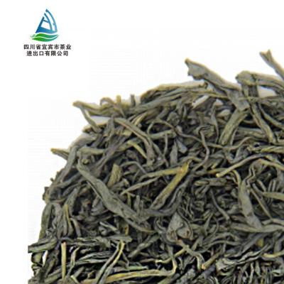 China Loose Tea Good For Health Spring Tea Yibin Earlist Tea Chao Qing Tea for sale