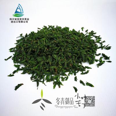 China Small Leaf Loose Tea Kuding Tea For Africa, Europe, Middle East, Middle Asia for sale