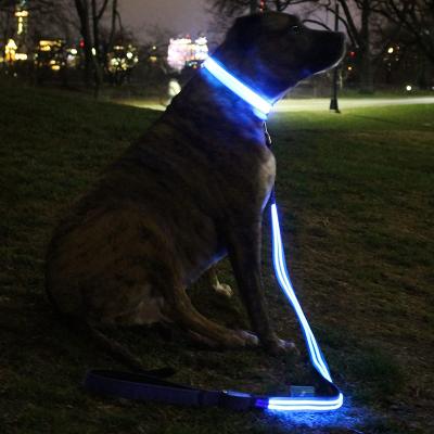 China Lights Custom Reflective Nylon Rope Leash With Led Spring Hook Flashlight Pet Collar Dog Leash for sale