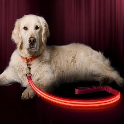 China Best Light Up Ribbon Pet Fashion Nylon Led Pet Collar Leash Flashing Light Up Dog Leash With Light Led Dog Leash for sale